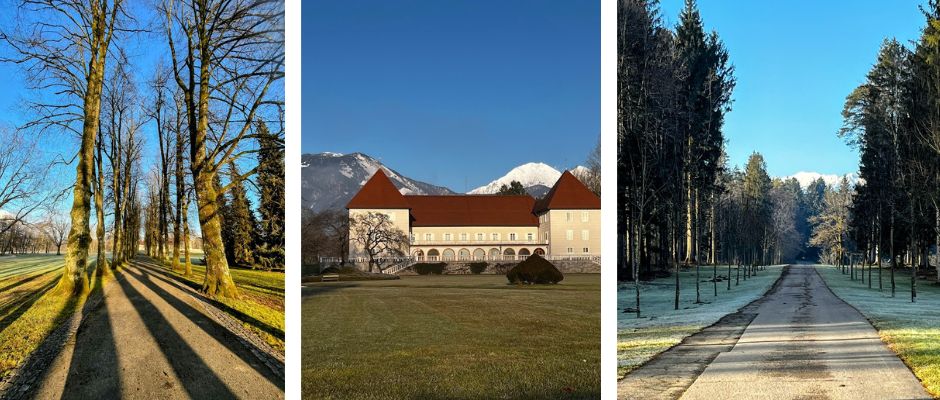 Park Brdo pri Kranju – mir, narava in kanček prestiža