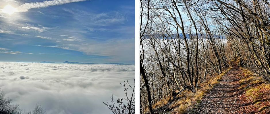 Grmada – popoln podaljšek Šmarne gore