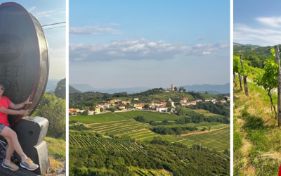 Goriška Brda pohodniško – razgibani grički, slikoviti razgledi, zanimivosti na poti